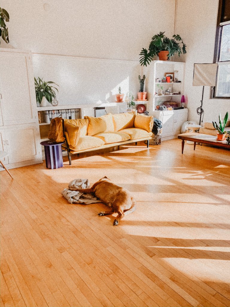 Flooring company in Regina